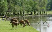 Natuurgebieden in Flevoland